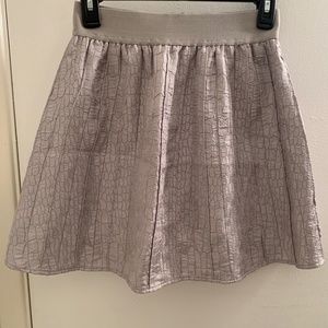 Grey Skirt